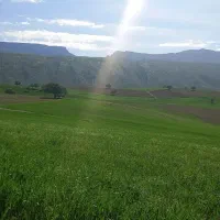 زمین-کشاورزی-هموار-زنگوان