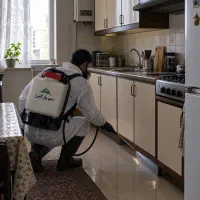 سمپاشی تخصصی ساس، سوسک و موریانه در کرج با ضمانت