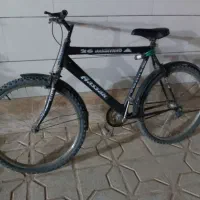 دوچرخه|دوچرخه، اسکیت، اسکوتر|کاشمر, |دیوار