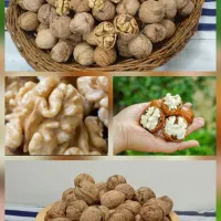 گردوی درجه یک