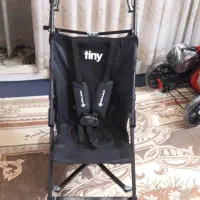 کالسکه عصایی