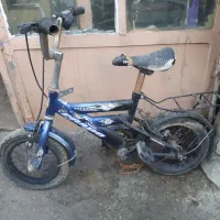 چرخ ۱۲ تنه سالم رنگ ورودار