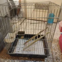 قفس|لوازم جانبی حیوانات|اصفهان, مهدی آباد|دیوار