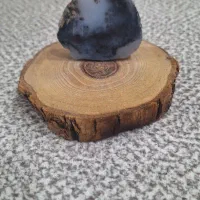 استند چوب با انواع سنگ عقیق|کلکسیون و سرگرمی|سیرجان, |دیوار