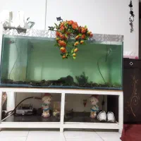 آکواریوم با وسایل وپایه ی آهنی