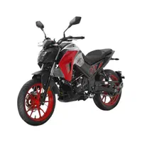 موتور NA 250cc صفر کیلومتر مدل 403 با GPS|موتورسیکلت|قم, باسکول|دیوار