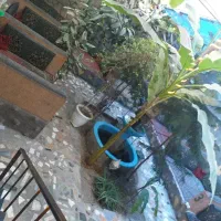 پارکبان برای غذاخوری