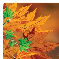 فروش زمین کشاورزی