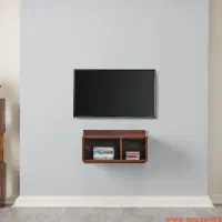 تلویزیون فروشی