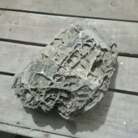 سنگ فسیل اصل قدیمی