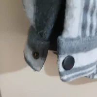 ژاکت پشمی|لباس|کرج, شهرک امام رضا (ع)|دیوار