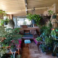 اجاره ویلا باغ استخر وجکوزی سرپوشیده ابگرم|اجارهٔ کوتاه‌مدت ویلا و باغ|شیراز, کودیان|دیوار