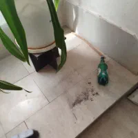 تمیزکاری ونظافت راه پله