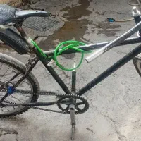 ۲۴دوچرخه