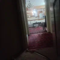 نیازمند-همخونه-خانم