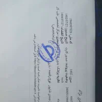 معاوضه 20 بزگلچین با بره ومیش|حیوانات مزرعه|لالی, |دیوار