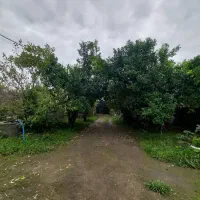 اجاره خانه ویلایی۵۰۰متری با۸۰ متر بنا در پاکت سازی|اجارهٔ خانه و ویلا|رشت, حومه رشت|دیوار