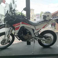 DS2 250 cc