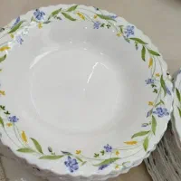 آرکوپال ۲۰۵امارات