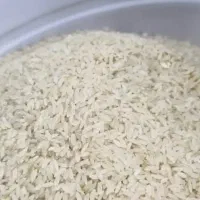 برنج و نیم دانه کامفیروزی ب شرط