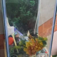 آکواریوم قدی