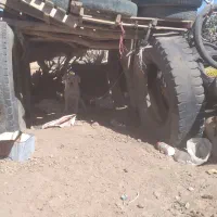 سگ پاکوتاه