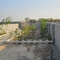 باغچه نقلی زیبا چهار دیواری ۲۵۰متر