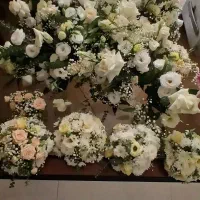 کوپ گل ، دسته گل ، سبد گل ،گل|گل و گیاه طبیعی|تهران, مهران|دیوار