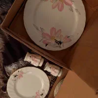 دیس شیرینی خوری و پیش دستی