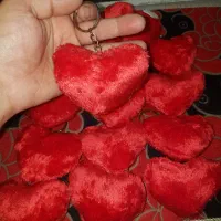 جا کلید قلب پولیشی