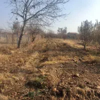 زمین باغچه|فروش زمین و ملک کلنگی|نوشین شهر, |دیوار