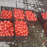 سلام آب آنارگیری|خوردنی و آشامیدنی|حمیدیا, |دیوار