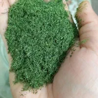 ترشی جنوبی. بادمجان. پیاز. لیته. سیر کوهی|خوردنی و آشامیدنی|مشهد, زیرکن|دیوار