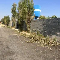 باغ ۲۰۰ متری *دارای آب ریشه ای|فروش زمین و ملک کلنگی|رباطکریم, پیغمبر|دیوار