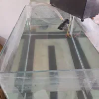 دو عدد اکواریوم|ماهی|تهران, سلیمانی|دیوار