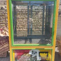 یخچال مغازه وسایل رستوران