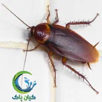 استخدام سمپاش اقا|استخدام صنعتی، فنی، مهندسی|تهران, خرمشهر|دیوار