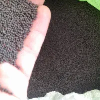 بذر کلزا رقم تراپر دستی|خدمات باغبانی و درختکاری|گنبد کاووس, |دیوار