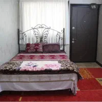 آشپز خانم