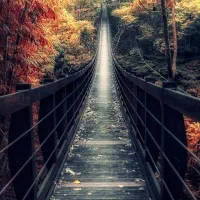 راهنمایم کنید لطفا