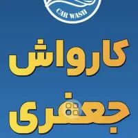 نیروی کار در کارواش