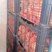 رب درج یک|خوردنی و آشامیدنی|قروه, |دیوار