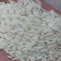 فروش برنج هاشمی فوق اعلا درجه یک