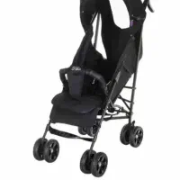 کالسکه دلیجان در حدنو|کالسکه و لوازم جانبی|لنگرود, |دیوار