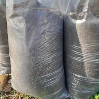 خاک گلدان کمپوست|خدمات باغبانی و درختکاری|رشت, پسیخان|دیوار