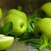 تولیدنهال سیب سبز