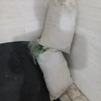 تور۱۵۰چشمه شانکی|ماهیگیری|بندر ماهشهر, |دیوار