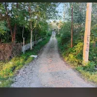 فروش ویلاباغ ۱۸۰۰متری با۱۲۰متربناسندتکبرگ|فروش خانه و ویلا|شاندرمن, |دیوار