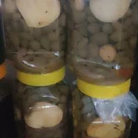 ترشی لگجی یا کا پاریس