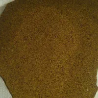 بذر یونجه محلی کیلویی 1600